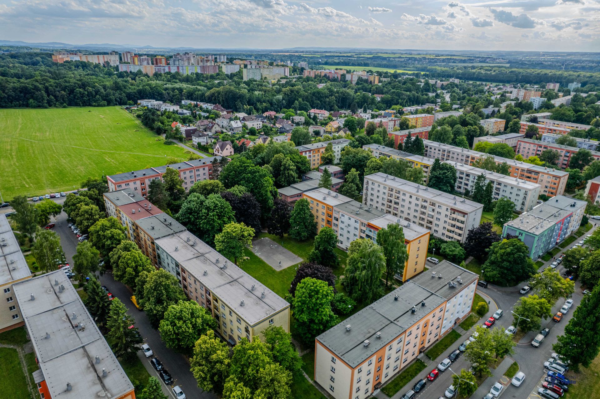 vojteich-vajda_profifoto-39_optimized