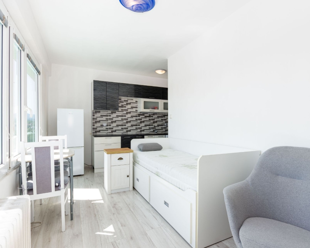 Pronájem bytu 1+kk, 22 m2, ul. Janáčkova, Frýdek-Místek
